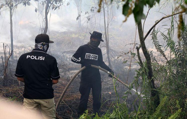 Waspada Kebakaran Lahan Ada 201 Hotspot Di Kawasan Perusahaan Di