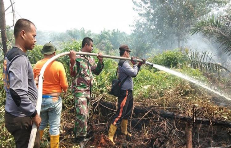 Dua-Titik-Api-Terpantau-di-Pelalawan-Pemadaman-Dibantu-Helikopter-Water-Bombing_493013.jpg